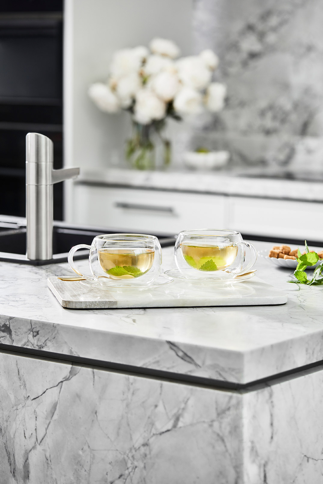 Healing Ginger Lemon Balm