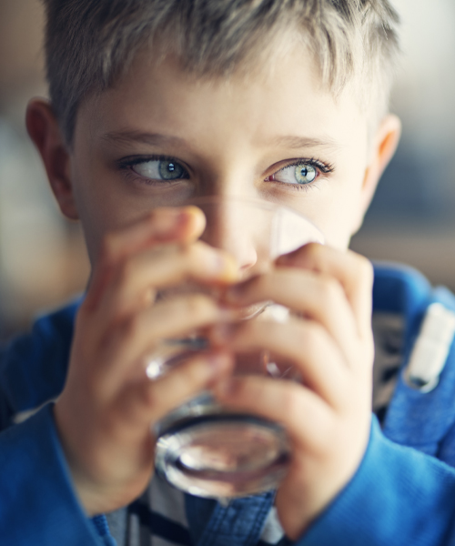 Why water is essential